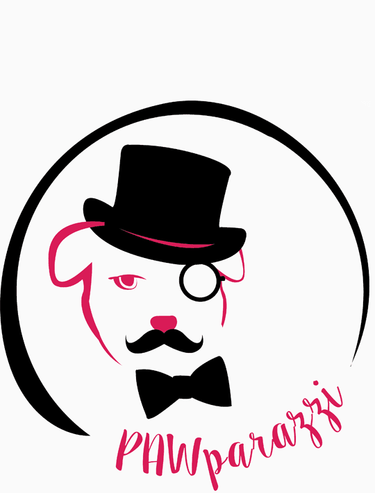 Dog wearing a top hat and monocle.