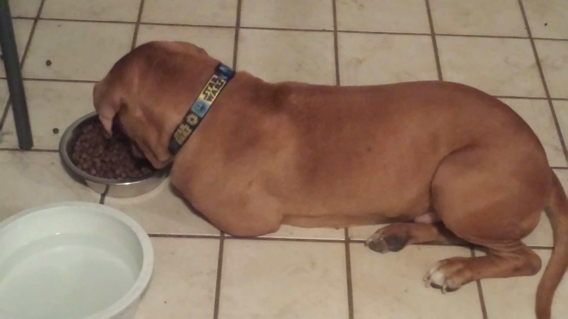 A green megaphone is on the black background