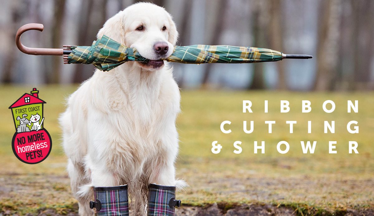 A dog with a umbrella in his mouth.