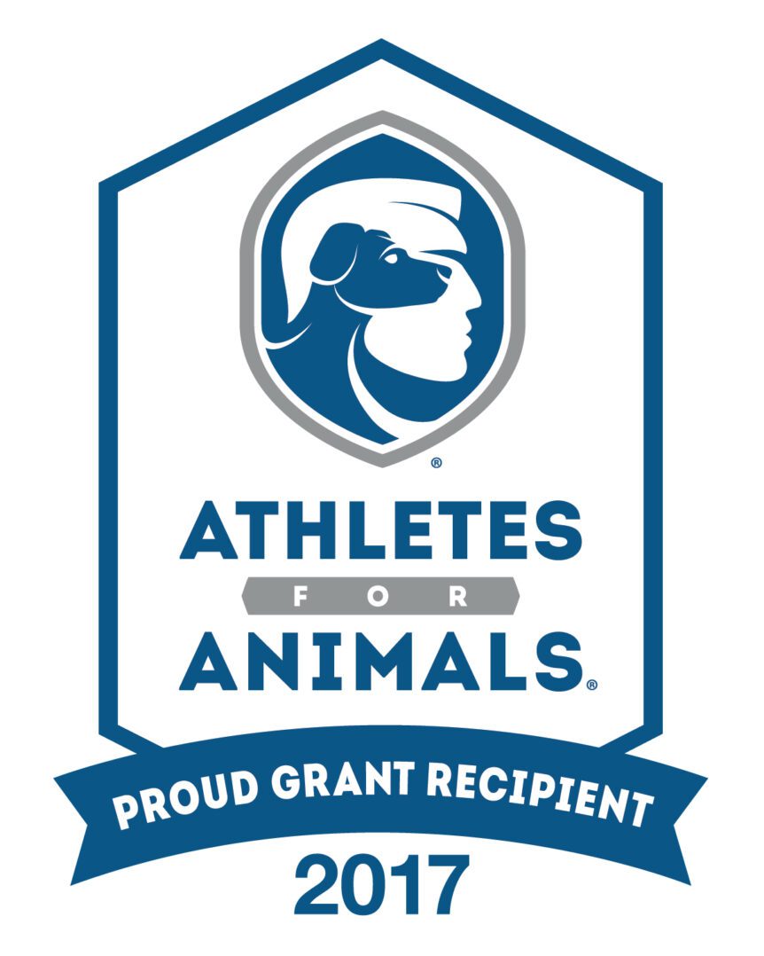 A green megaphone is on the black background