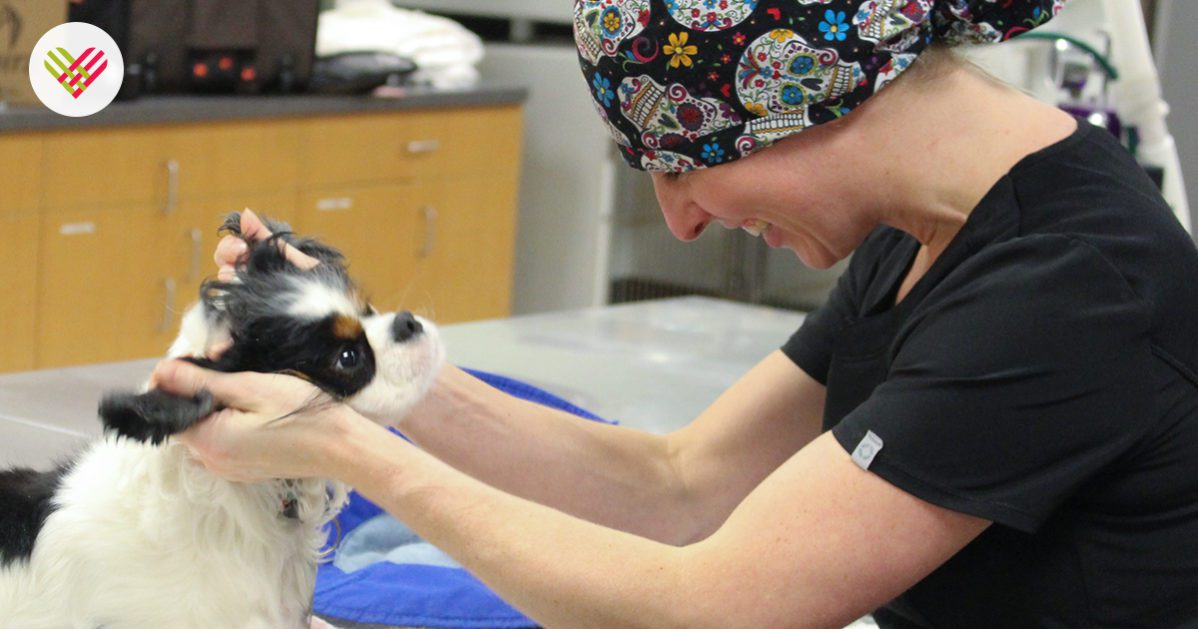 A green megaphone is on the black background