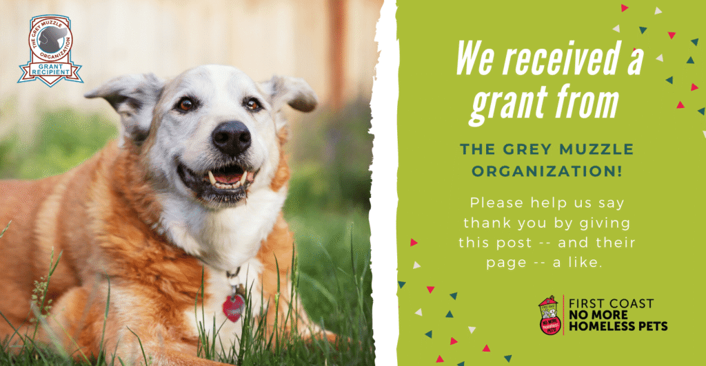 A dog laying in the grass with a thank you message.