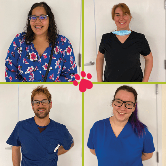 A green megaphone is on the black background