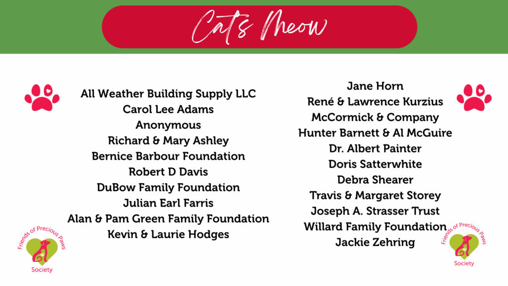 FOPP 2025_Cat's Meow