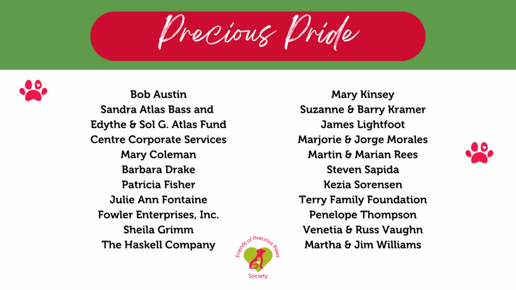 FOPP 2025_Precious Pride