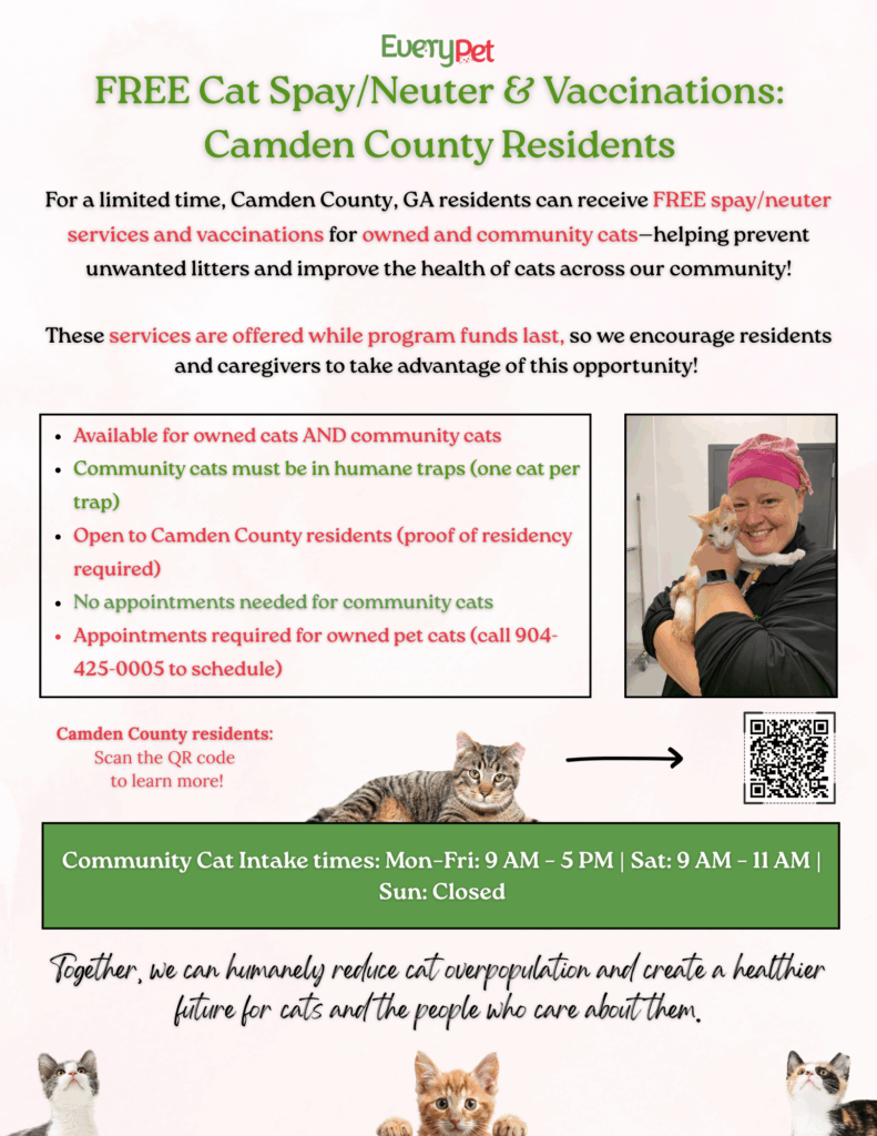 Camden County free cat spay/neuter and vaccinations flyer