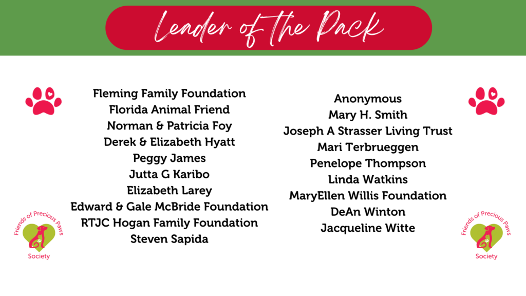 Leader of the Pack_updated 02.06.26