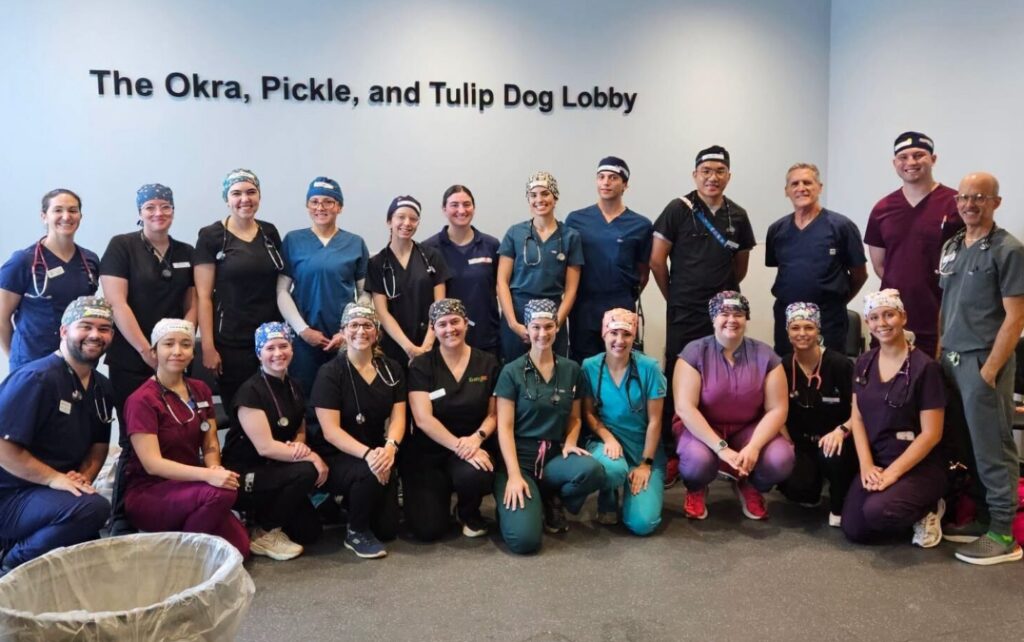 july spay day group