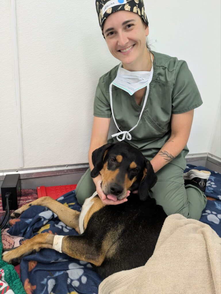 Spay day photo of a student veterinarian and dog