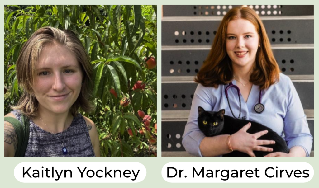 EveryPet Summer Extern and Intern