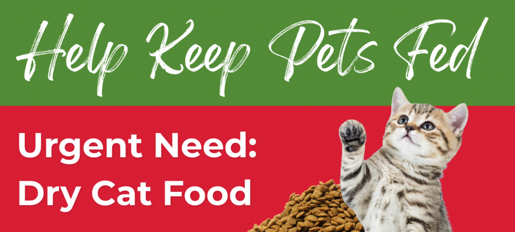 Urgent Need Dry Cat Food