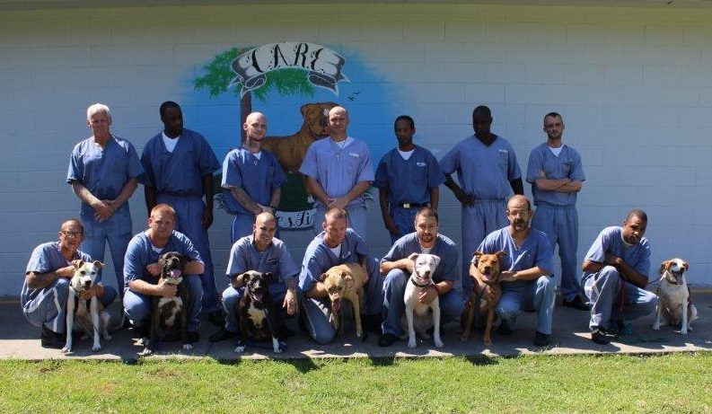 A green megaphone is on the black background