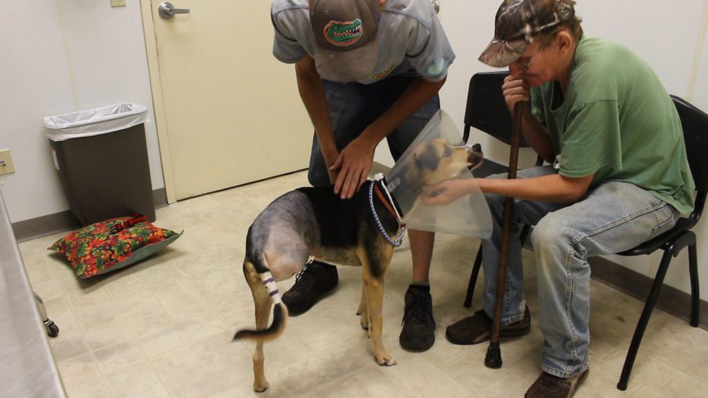 A man and two dogs are standing in front of some people.