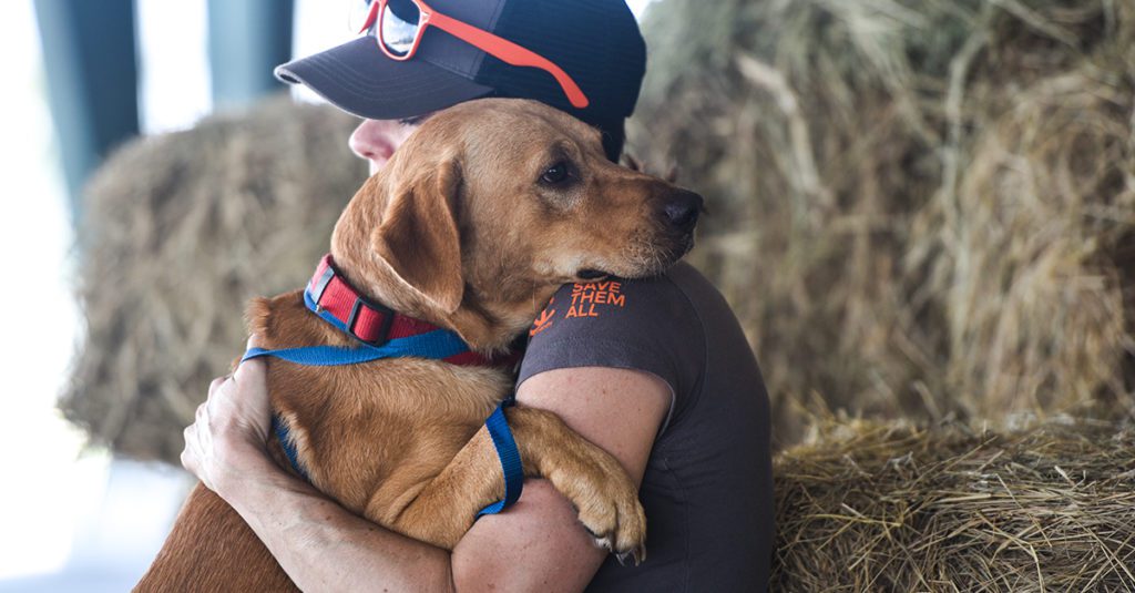 A green megaphone is on the black background