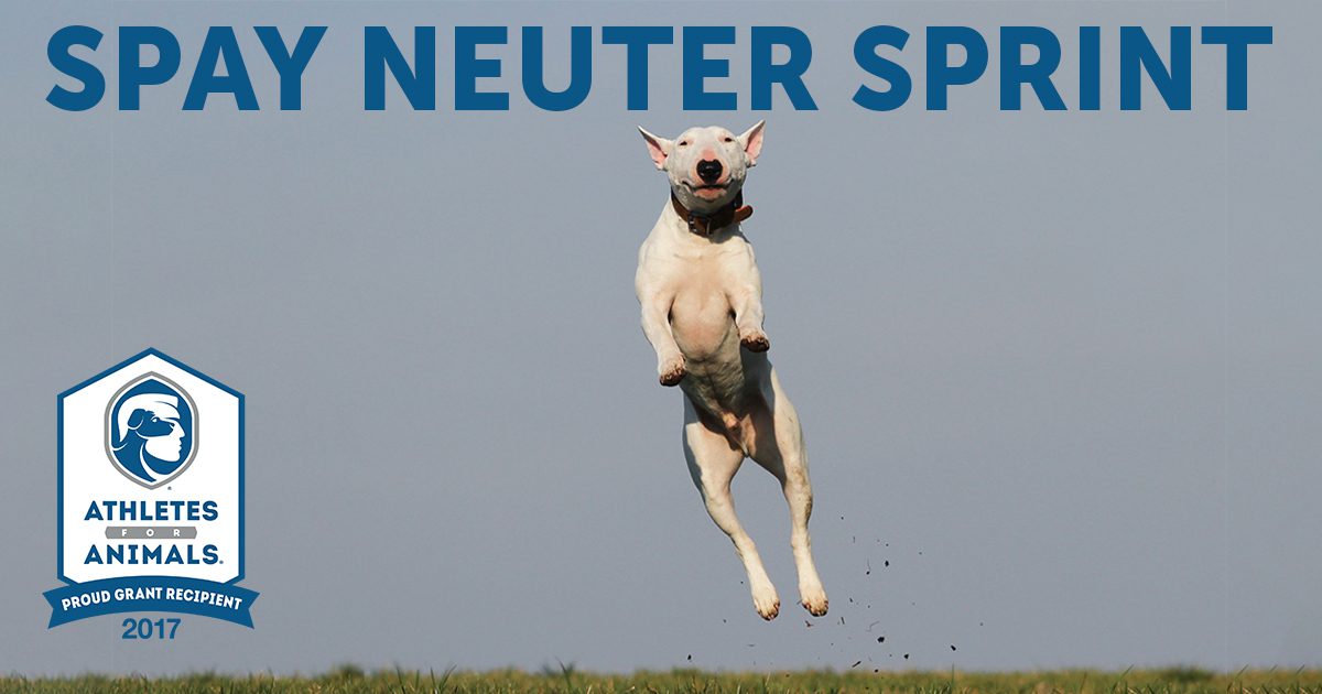 A green megaphone is on the black background