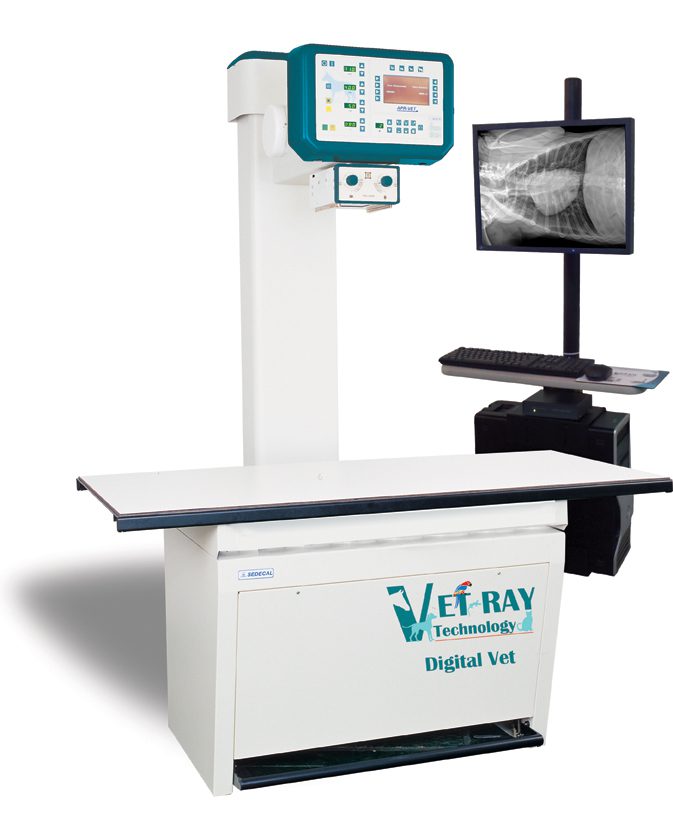 A green megaphone is on the black background